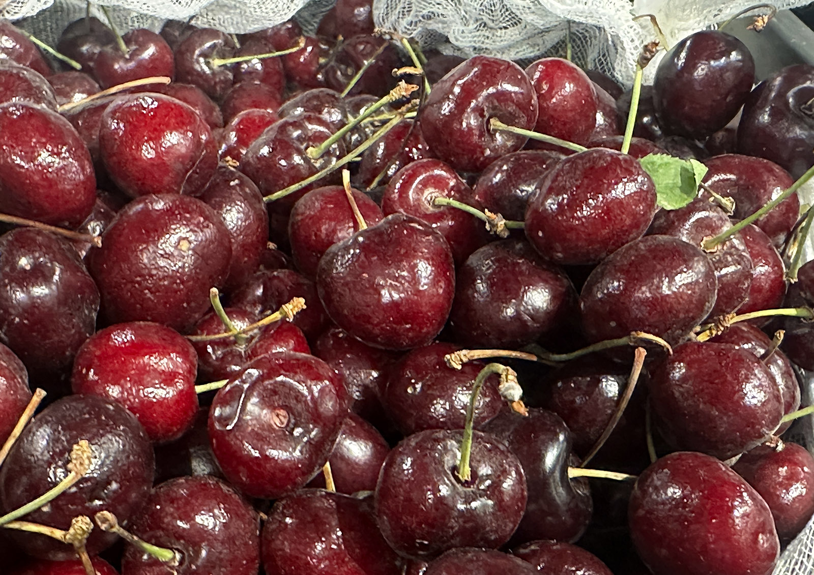 Какие продукты из Ирана подорожают в России