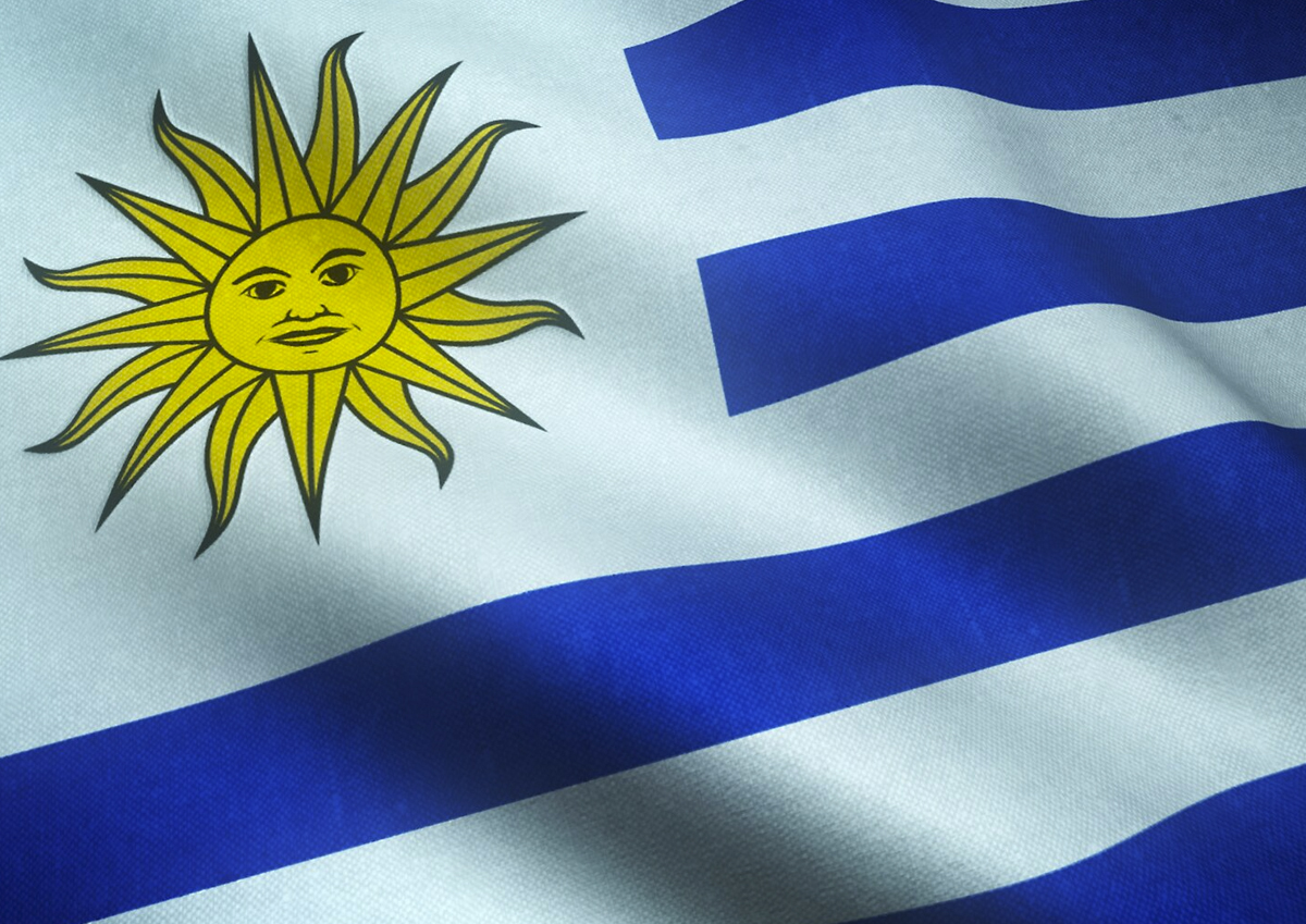 Уругвай может наладить поставки в РФ через Бразилию