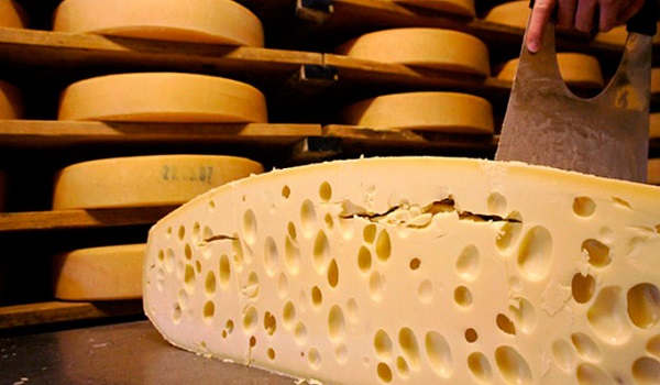 В Подмосковье полиция задержала подозреваемых в похищении 10 тонн сыра