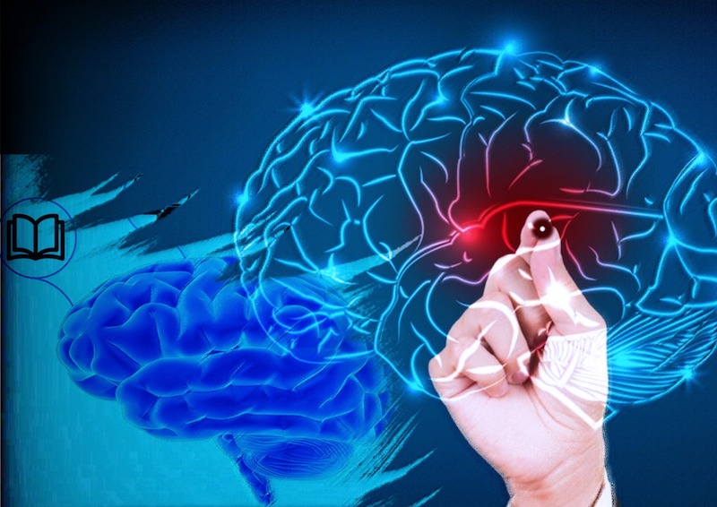 Нейропсихолог назвал факторы развития когнитивной гибкости