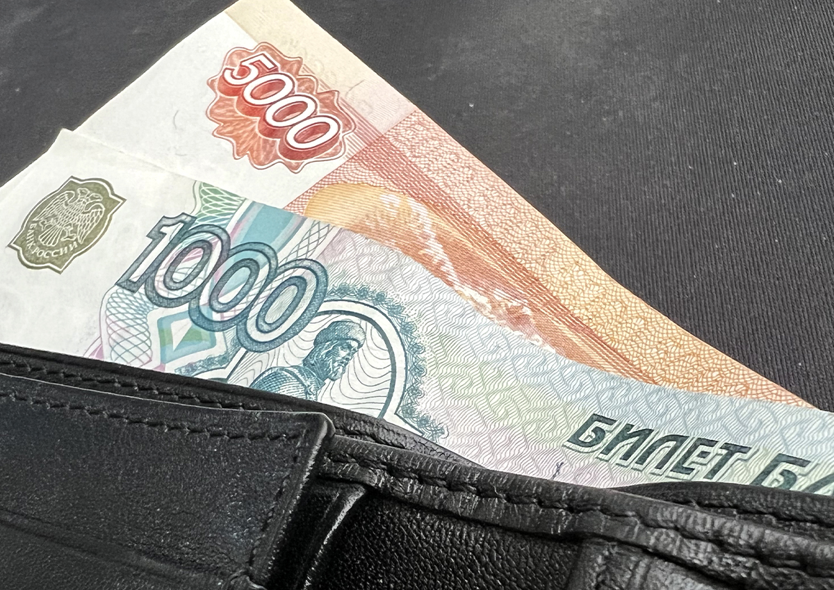 Экономист Румянцева объяснила рост спроса среди россиян на наличные деньги