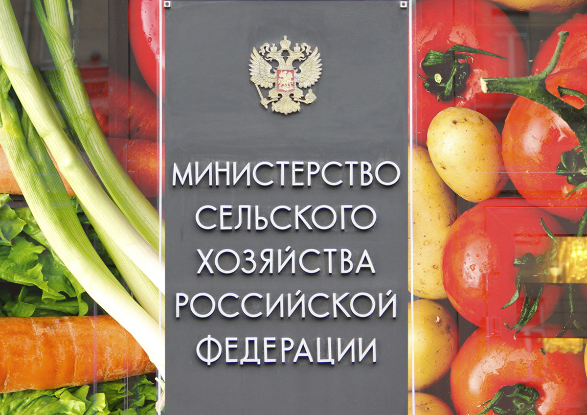 Депутат Яков Якубович заявил, что считает недостаточными усилия Минсельхоза по стабилизации цен на овощи