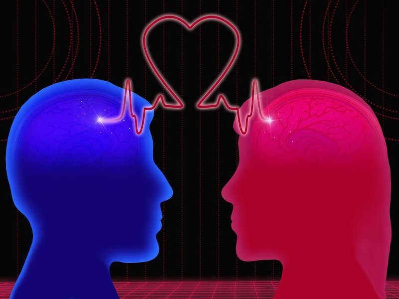 Профессор биологического факультета МГУ рассказал, как мозг реагирует на любовь