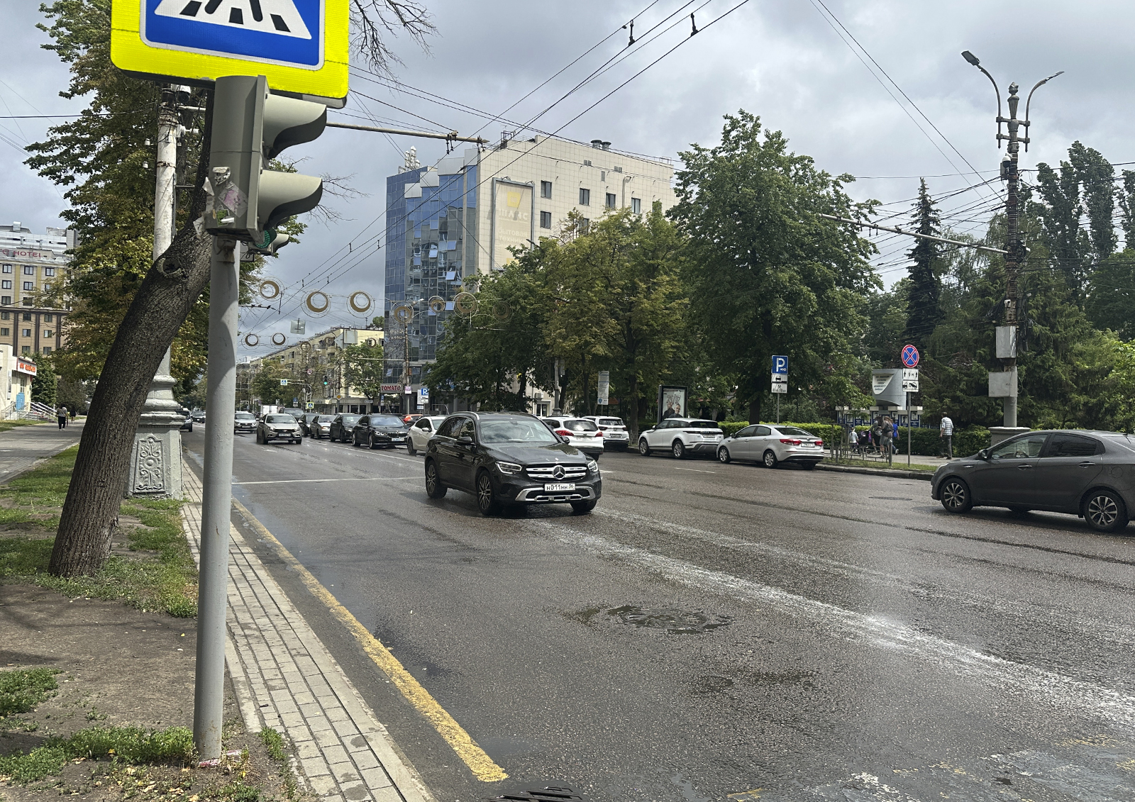 За падение дерева на припаркованный автомобиль отвечают муниципальные службы