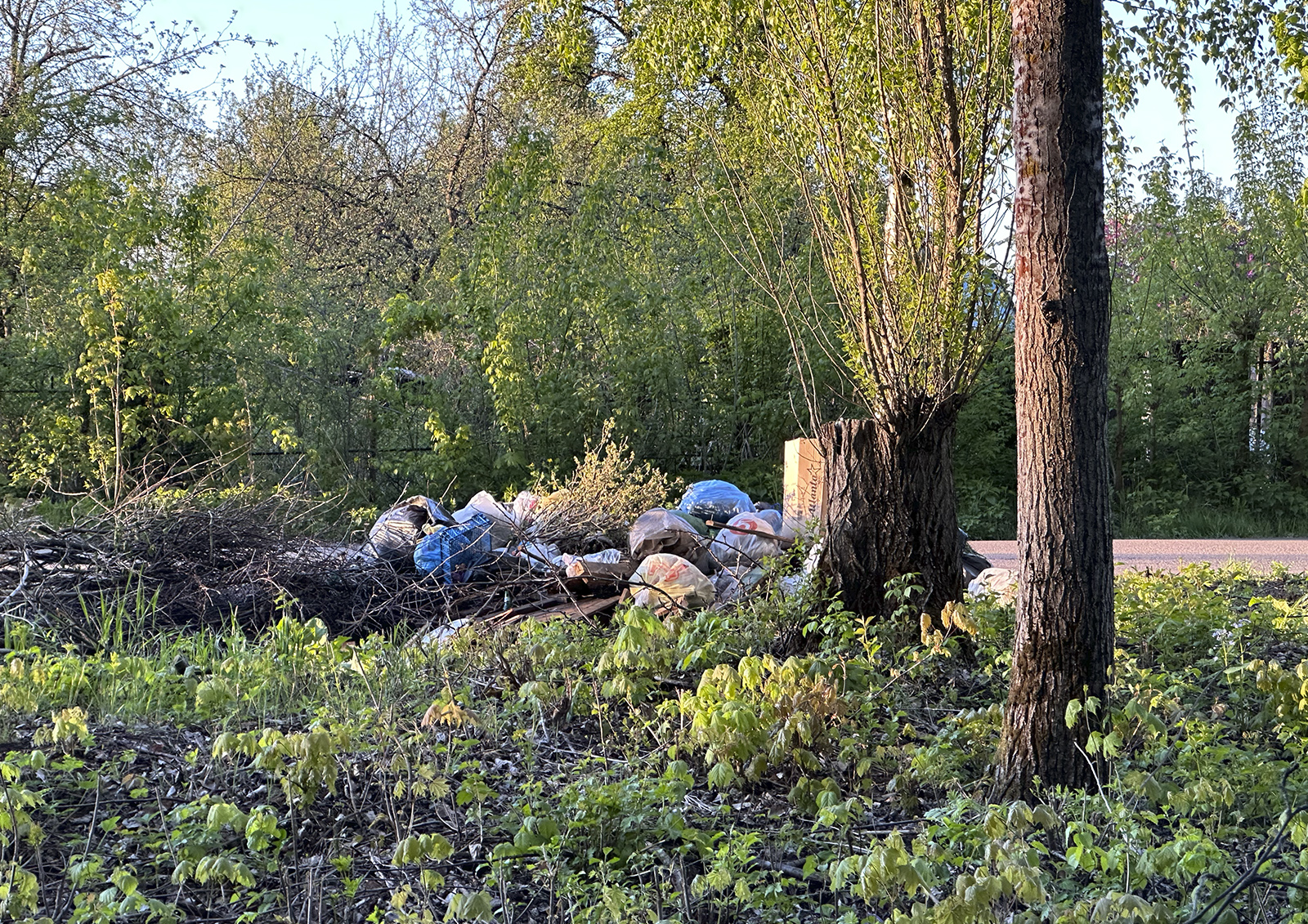 Судьбу строительства мусорного полигона в Тамбовской области определит суд