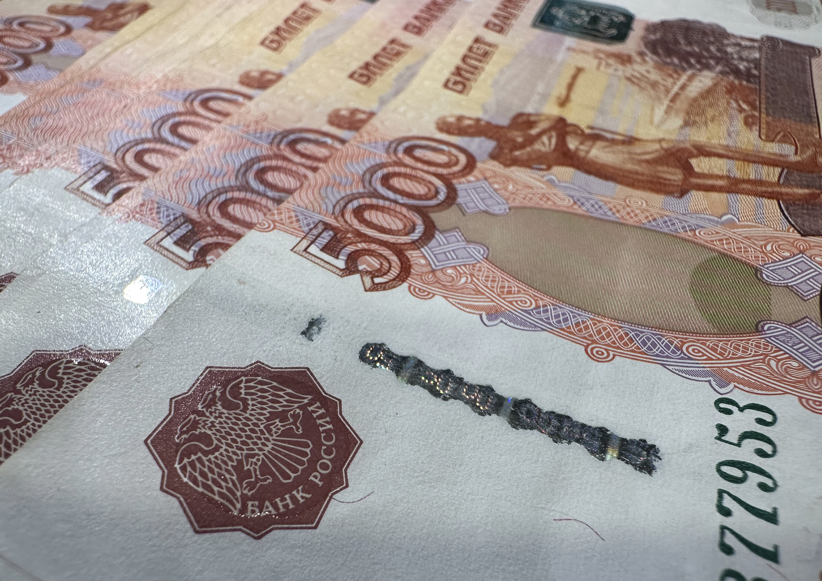 В ФНС уведомили о старте рассылки физлицам уведомлений по налогам за 2024 год