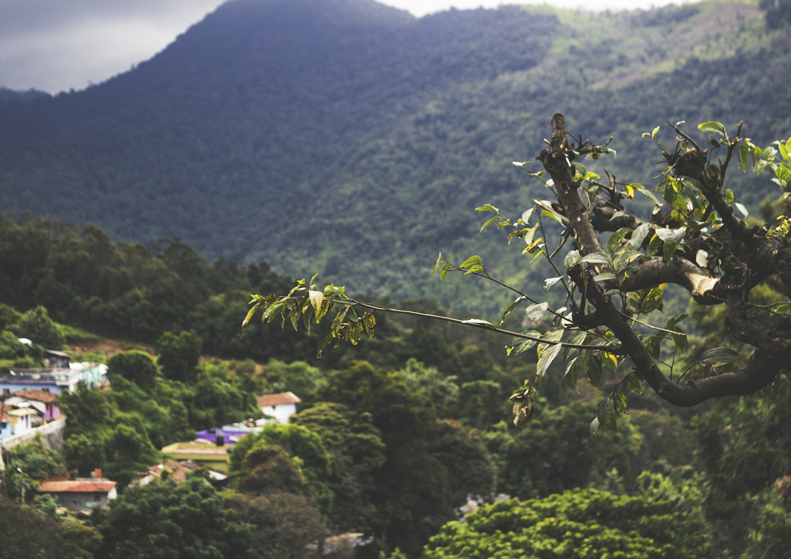 Почему действия Трампа в отношении Колумбии невозможно предсказать