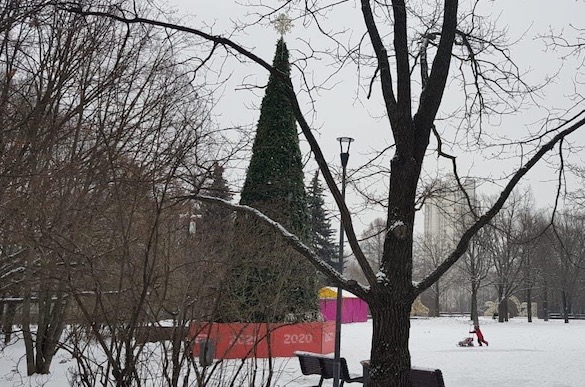 В московских Хамовниках установили елку с прошлогодним поздравлением