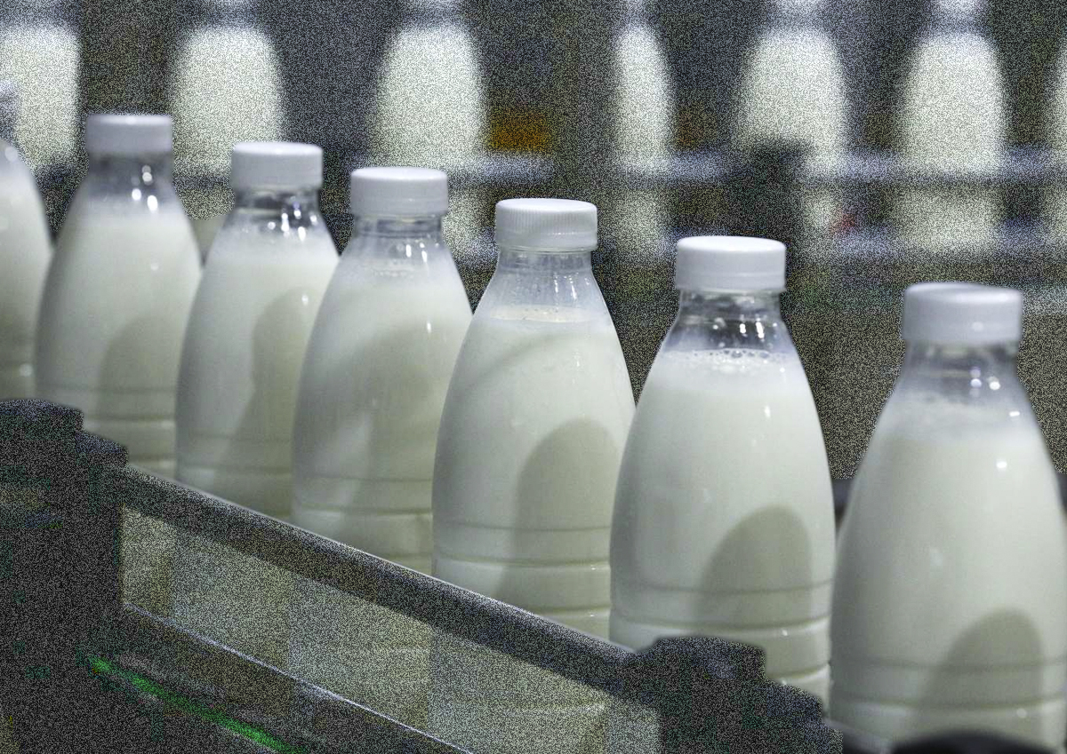 Испытание маркировкой. В Приморье производители «молочки» покидают рынок