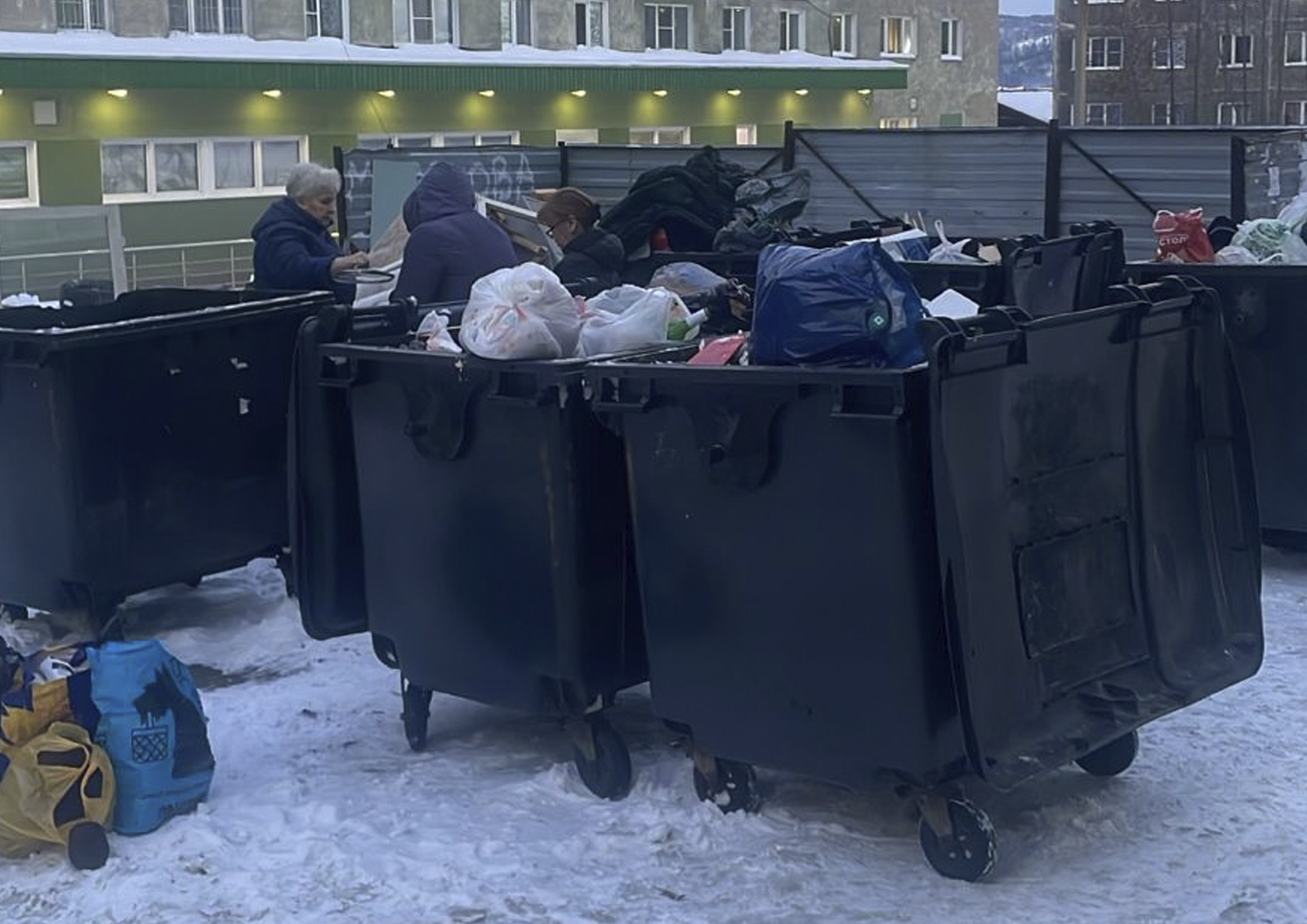 Эколог Федорова назвала опасные последствия залежей мусора во дворах Мурманска