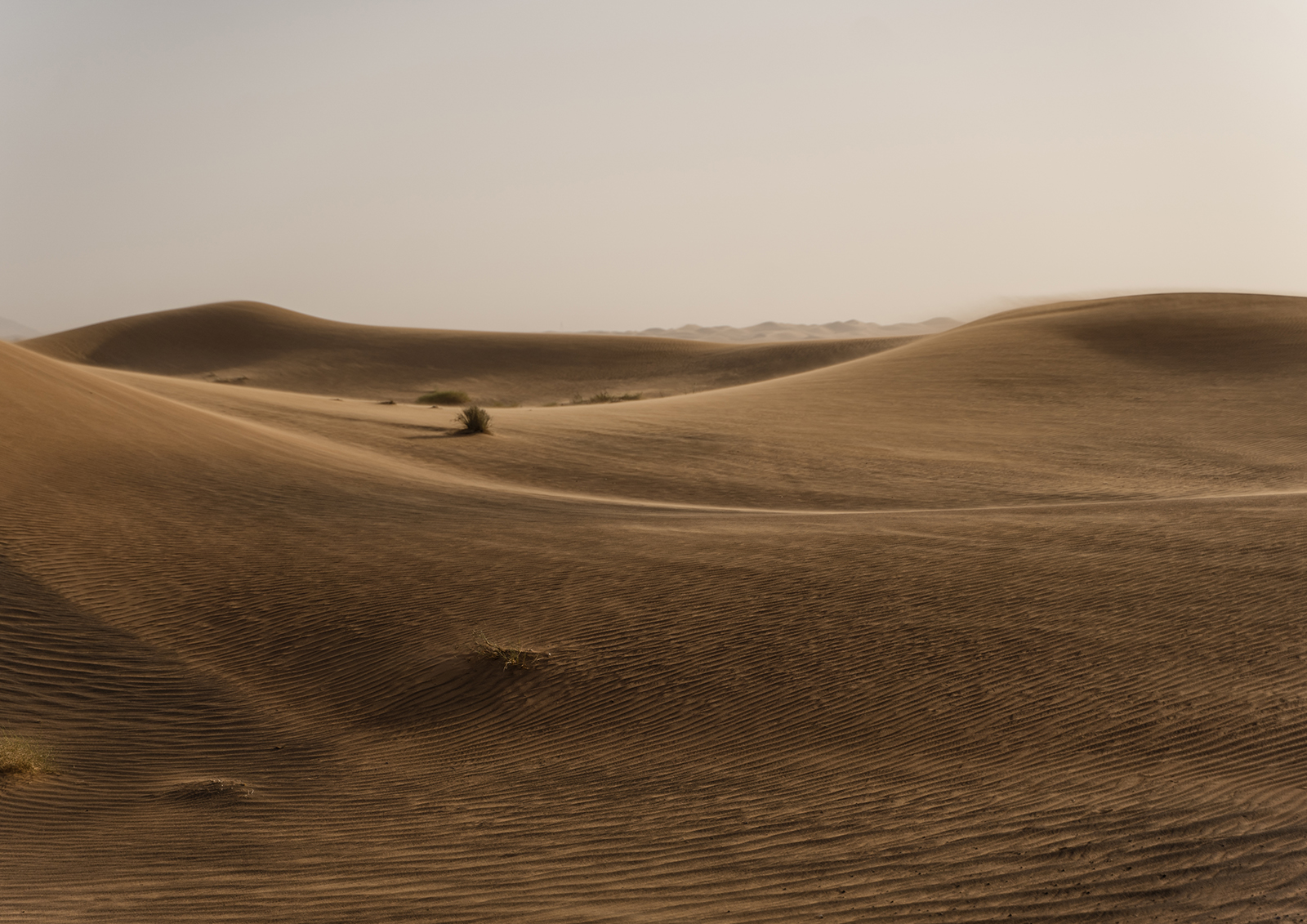 Пустыня Сахара продолжит наступление на юг