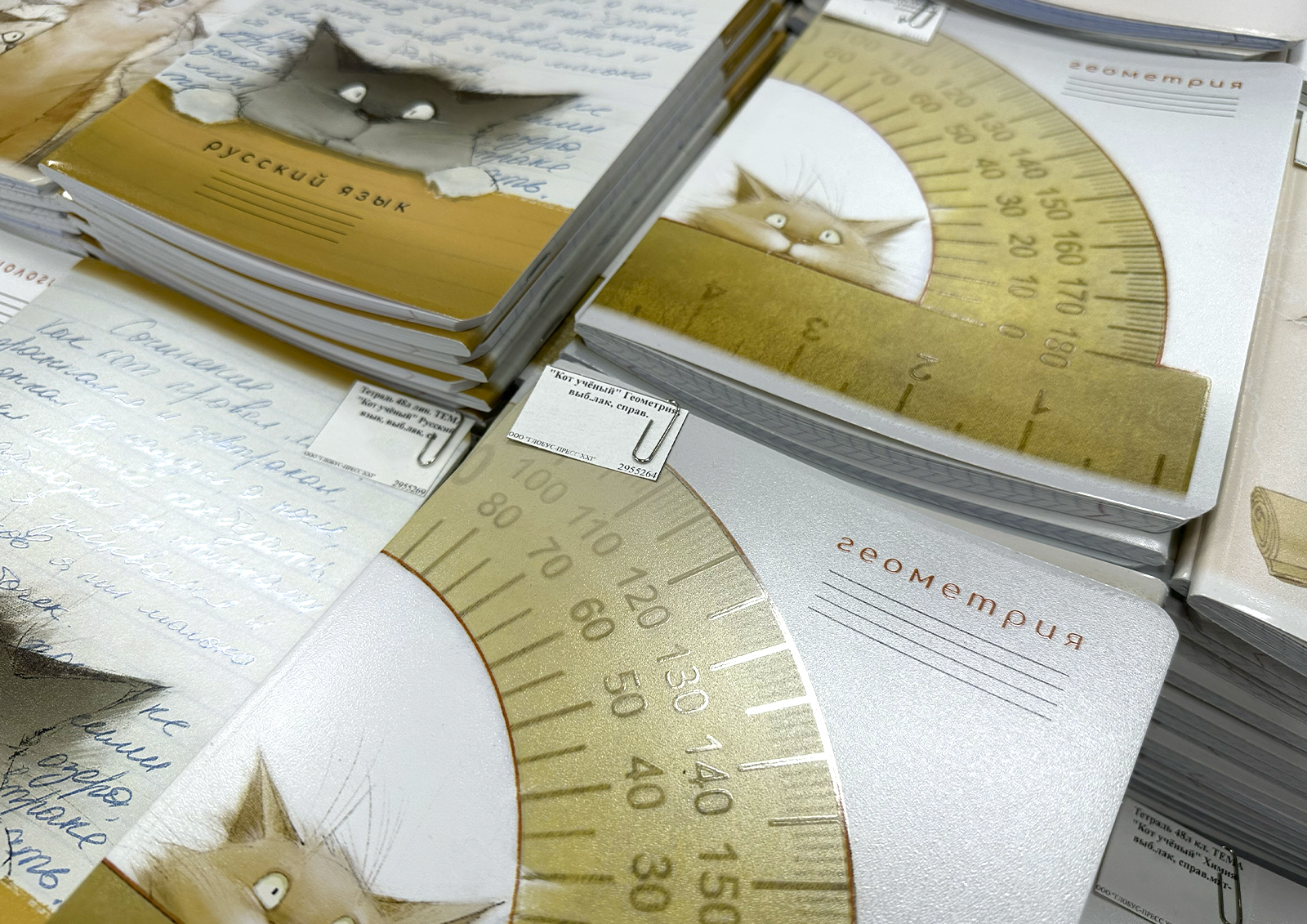 С сентября 2027 г. во всех российских школах начнут ставить оценки за поведение