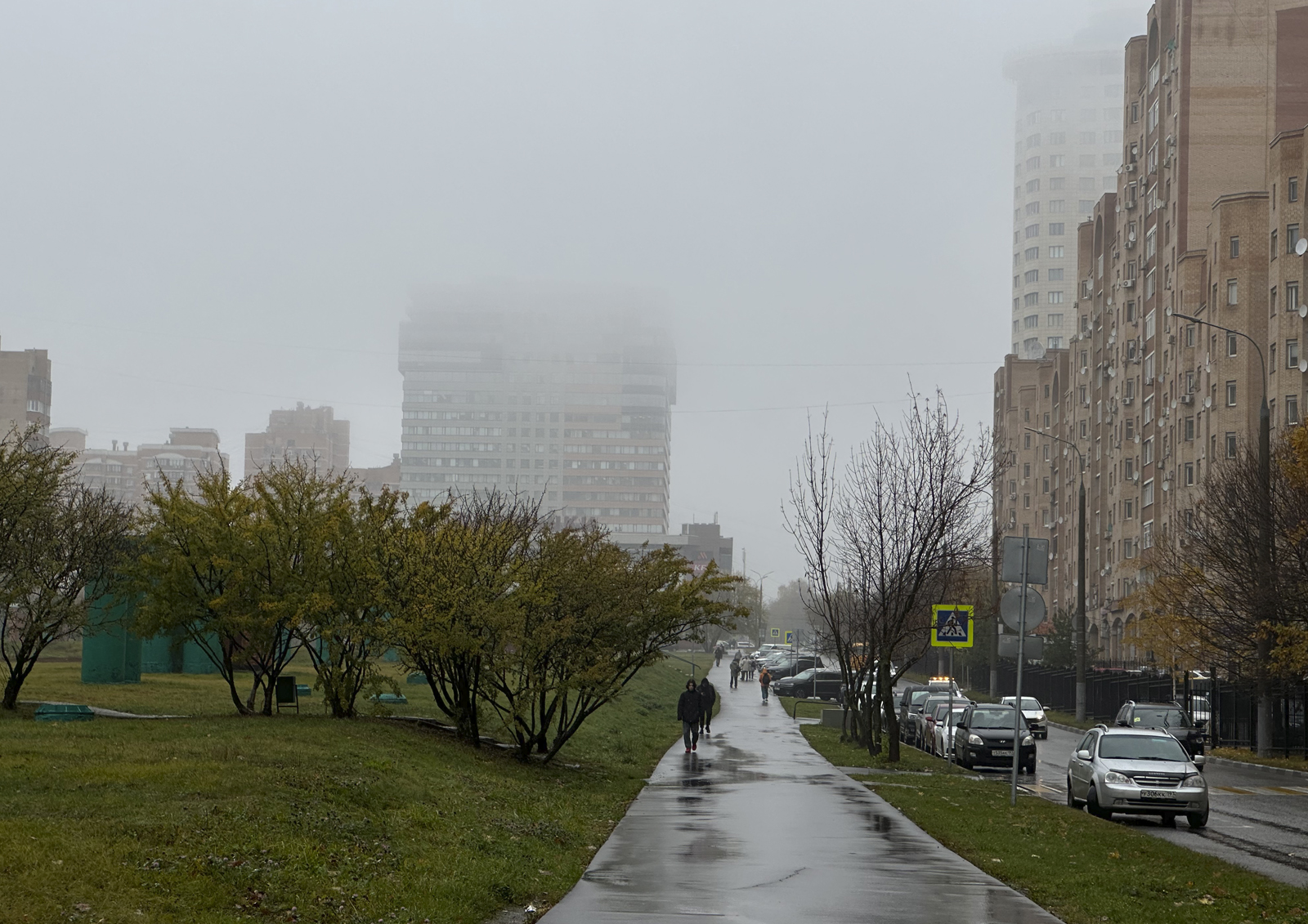 Врач Соломатина объяснила, почему в городах лучше не гулять во время туманов