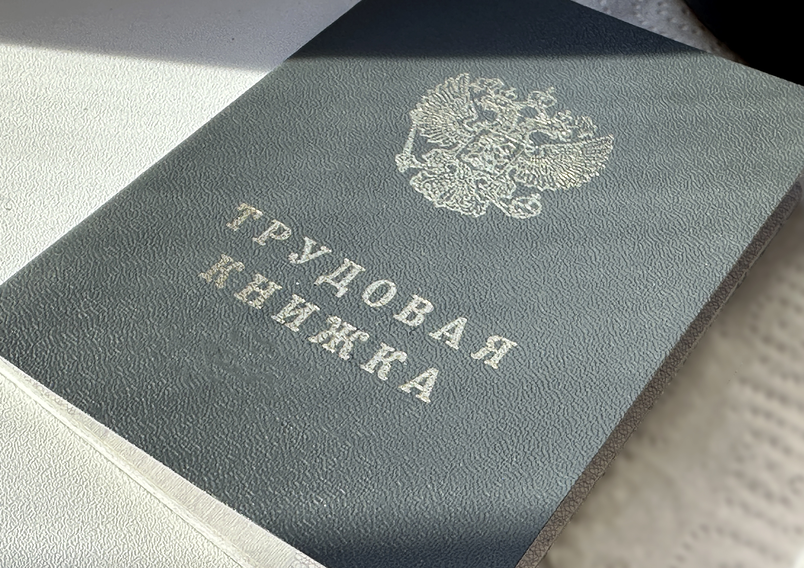 Названы самые перспективные регионы для трудоустройства