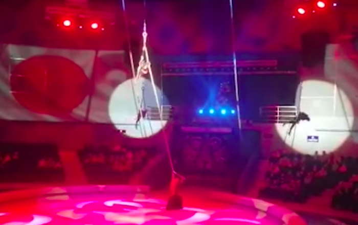 Гимнастка сорвалась с высоты во время выступления в цирке Владивостока