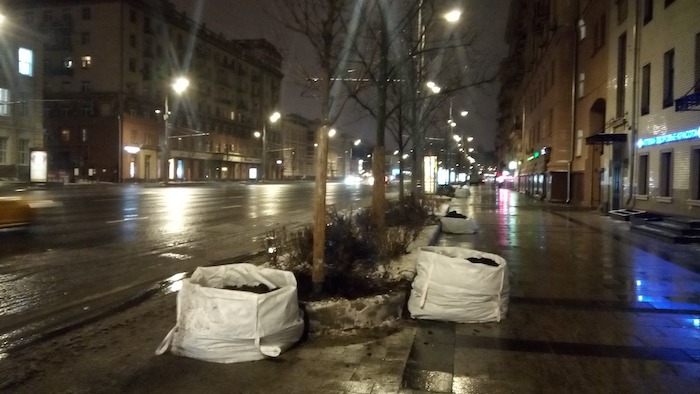 в центре Москвы на ул. Садово-Кудринской выкапывают деревья и сажают новые