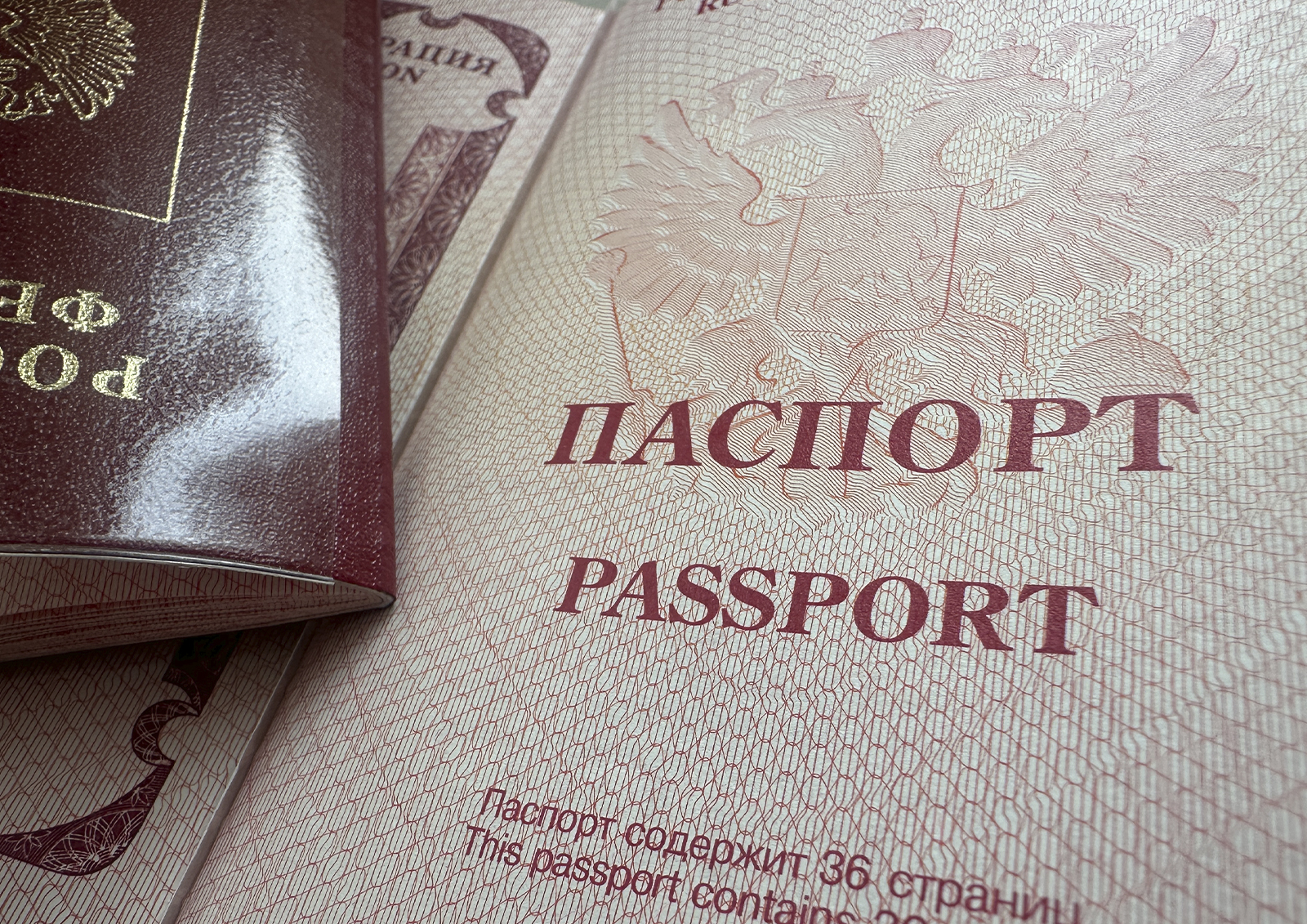 Жителей Подмосковья предупредили о мошеннической схеме с загранпаспортами