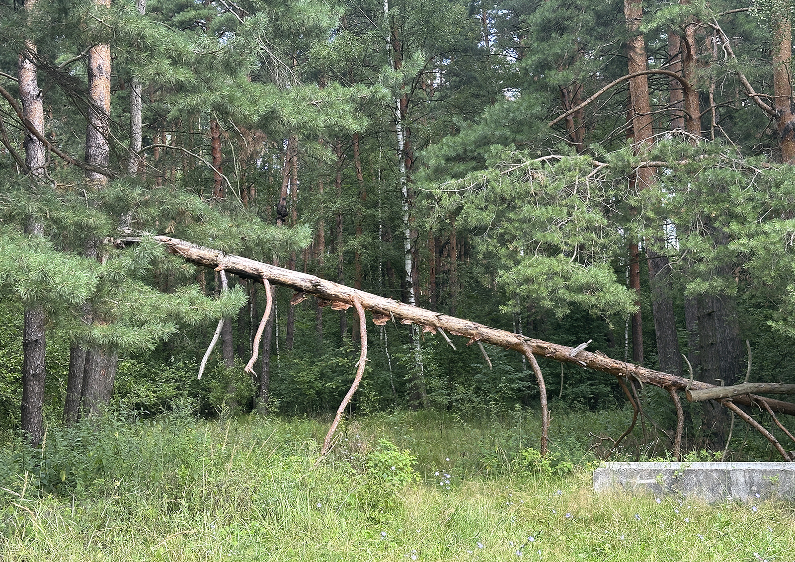 С кого могут брать деньги за посещение заповедников