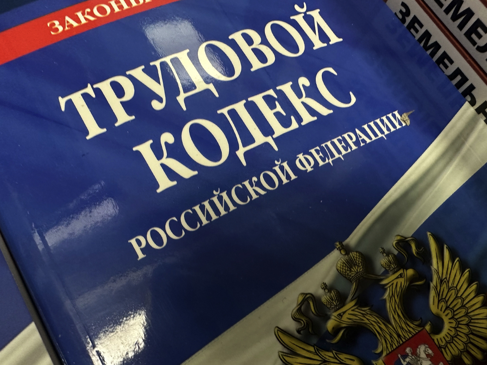 В ТК РФ пропишут основные критерии наличия трудовых отношений